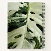Variegierte Monstera Pflanze Floral Notizblock (Rückseite)