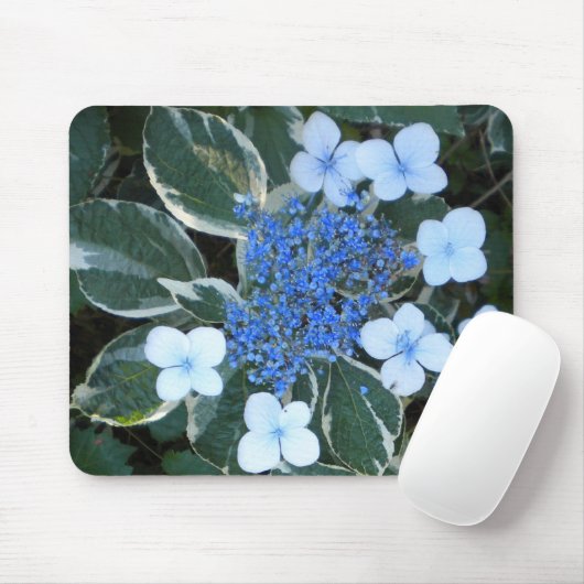 Variegierter Blue Hydrangea Mouse-Pad Mousepad (Mit Mouse)