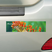Varigated Fritillary auf Schmetterlingsunkraut Autoaufkleber (Auf Auto)
