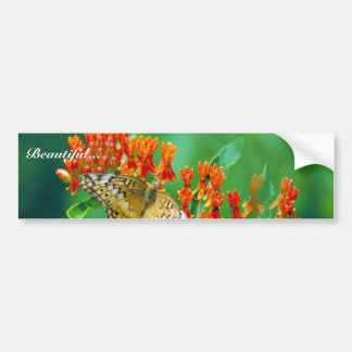 Varigated Fritillary auf Schmetterlingsunkraut Autoaufkleber
