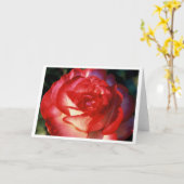 Varigated Rose Karte (Gelbe Blume)