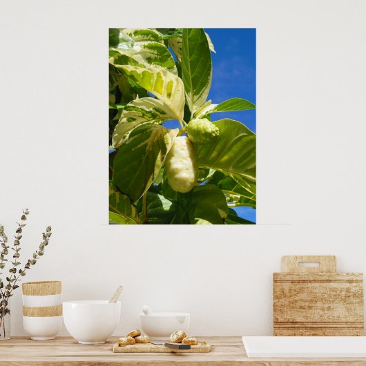 Variiertes Noni-Obst Poster (Küche)