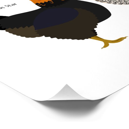 various colors&patterns chickens poster (Ecke)