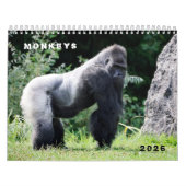 Various monkeys calendar kalender (Titelbild)