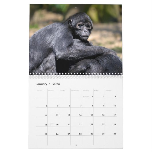 Various monkeys calendar kalender (Jan 2026)