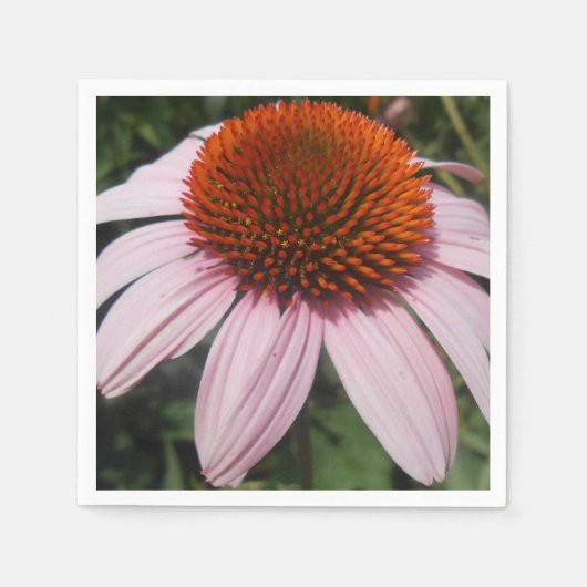 Varotari Serviette (Vorderseite)