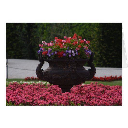 Vase mit Blume (Vorderseite (Horizontal))