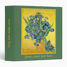 Vase mit Ire, Vincent Van Gogh