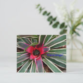 Vase Pflanze Postkarte (Stehend Vorderseite)