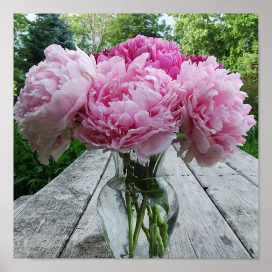 Vase Pink Peonies Poster Print (Vorne)