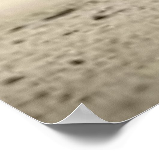 Vase und Blume in Schwarzweiß Poster (Ecke)