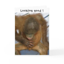 Vasektomie sieht gut aus