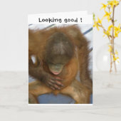 Vasektomie sieht gut aus karte (Gelbe Blume)