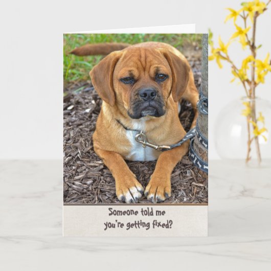 Vasektomie-Spaß Karte (Gelbe Blume)