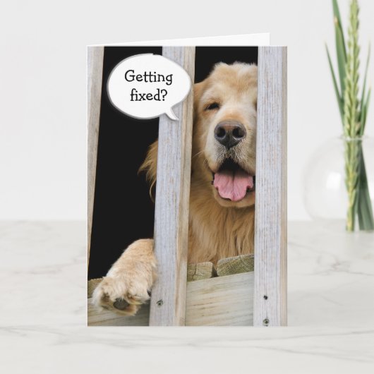 Vasektomie-Spaß Karte (Vorderseite)