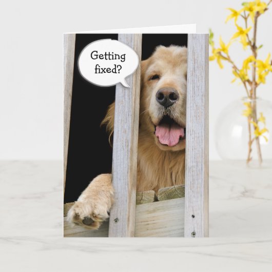 Vasektomie-Spaß Karte (Gelbe Blume)