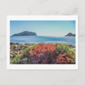 Vasilitsi - Venetiko und Cape Akritas - Postkarte (Vorderseite)