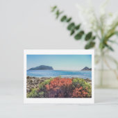 Vasilitsi - Venetiko und Cape Akritas - Postkarte (Stehend Vorderseite)