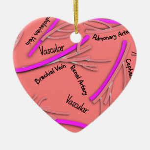 Vaskuläre Venen und Arterien #58 Keramik Ornament