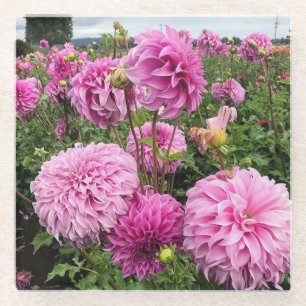 Vassio Meggos Dahlia Glasuntersetzer