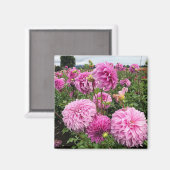 Vassio Meggos Dahlia Magnet (Vorderseite/Rückseite)