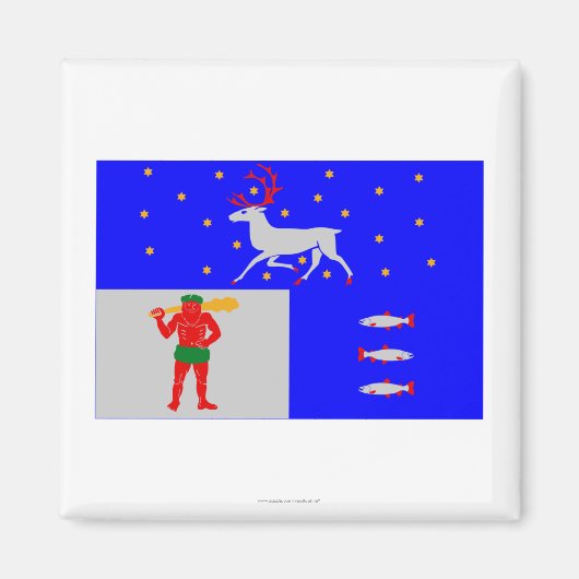 Västerbottens län flag magnet (Vorne)