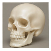 Vater Cube Würfel (Rechts)