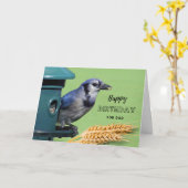 Vater Geburtstag mit Blue Jay am Feeder Karte (Gelbe Blume)