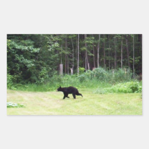 Vaters Black Bear Rechteckiger Aufkleber
