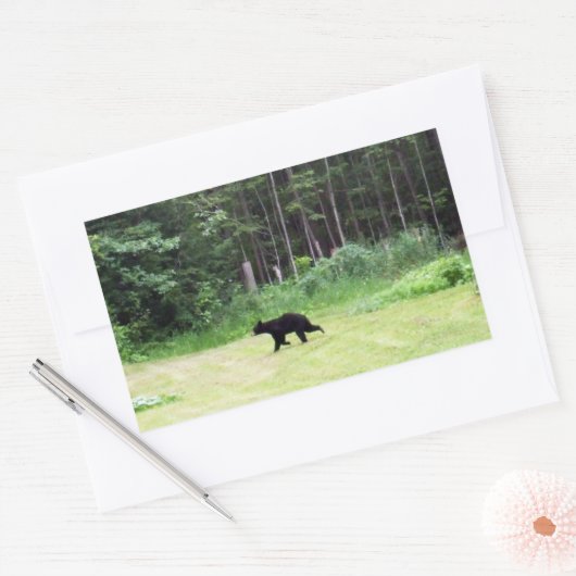 Vaters Black Bear Rechteckiger Aufkleber (Umschlag)