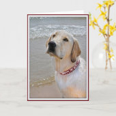 Vaters Hund Karte (Gelbe Blume)