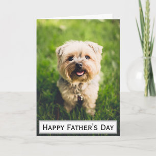 Vatertag Hund Papa Größter Bester Aller Zeiten Hau Karte