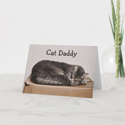 Vatertag Niedlich Tabby Cat Daddy Karte (Vorderseite)