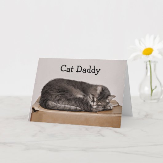 Vatertag Niedlich Tabby Cat Daddy Karte (Kleine Pflanze)