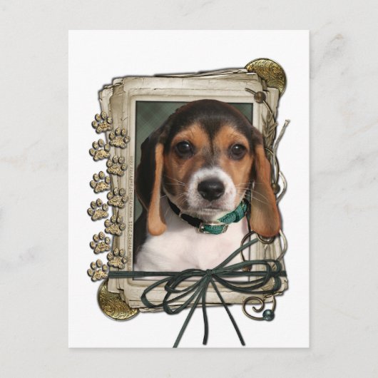 Vatertag - Steinpfähle - Beagle Welpe Postkarte (Vorderseite)