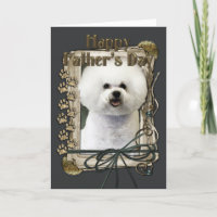 Vatertag - Steintatzen - Bichon Frise