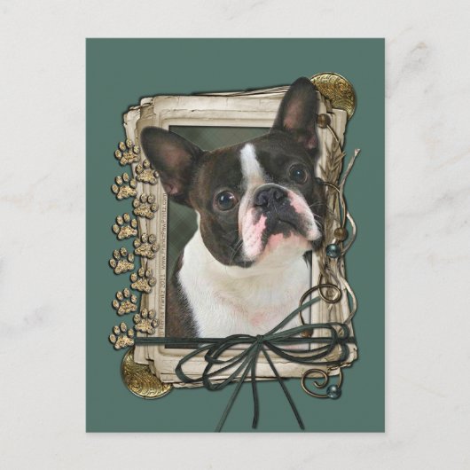 Vatertag - Stone Paws - Boston Terrier Postkarte (Vorderseite)