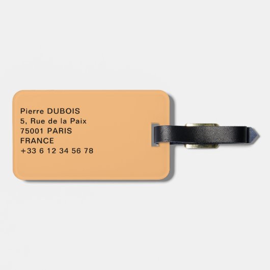 Vatikan, Italien: Piazza San Pietro Gepäckanhänger (Rückseite horizontal)