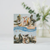 Vaudeville, Circus zeigt Postkarte (Stehend Vorderseite)