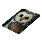 Vaughn Belak Owl Magnet (Linke Seite)