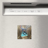 Vault Magnet (In Situ (Geschirrspüler))
