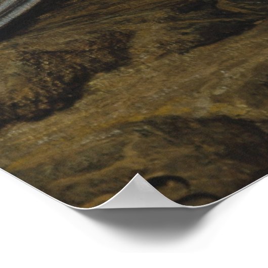 Vedder Soul CC0007 Poster (Ecke)