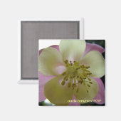 Veduta Magnet (Vorderseite/Rückseite)