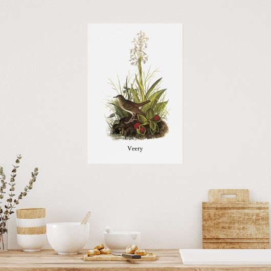 Veery, John Audubon Poster (Küche)
