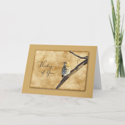 Veery on Branch - Thinking of You Card Karte (Vorderseite)