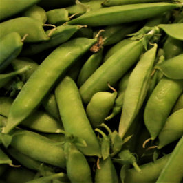 Vegan Garden Pea Puzzle