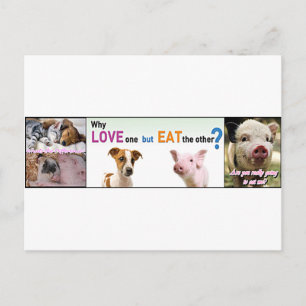 Vegan Gear Was ist der Unterschied? Postkarte