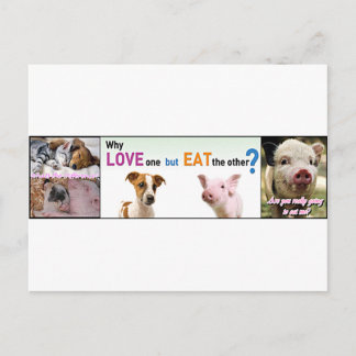 Vegan Gear Was ist der Unterschied? Postkarte