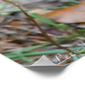 Vegan Serenity Bunny Poster (Ecke)