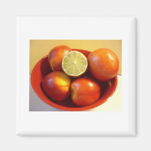 Vegane Liebe Magnet (Vorne)